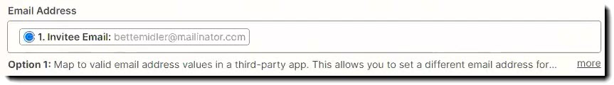 Screenshot showing the Individual Email Address field