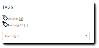 Screenshot showing the applied Tags on a Lead record