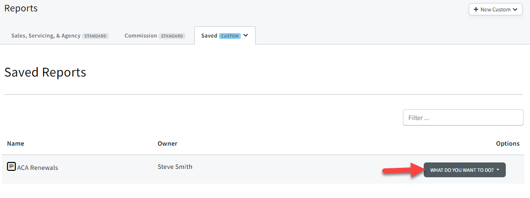 Screenshot showing which button to click to run a custom sales report