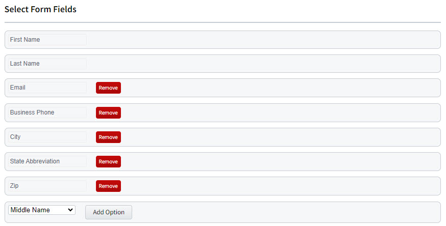 Screenshot showing the form fields for an agent lead form
