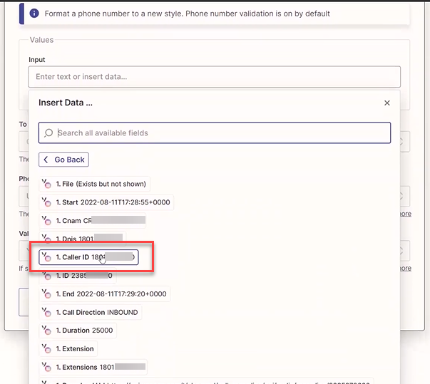 Screenshot showing the input data for formatting