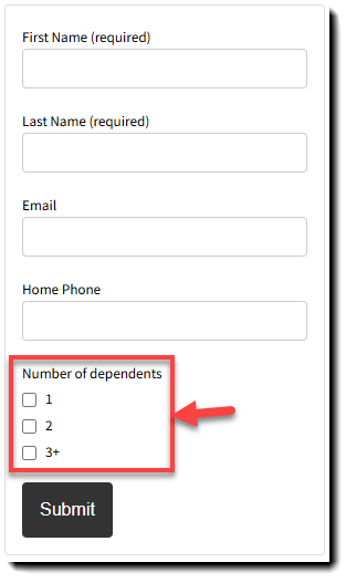 Screenshot showing an Individual Lead Form with a checkbox list custom field