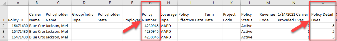 Screenshot showing how the Policy Detail Lives stays the same even when there are multiple occurrences of the same Policy