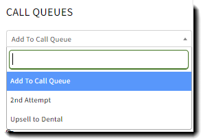 Screenshot showing how to add call queues to a Sales Record