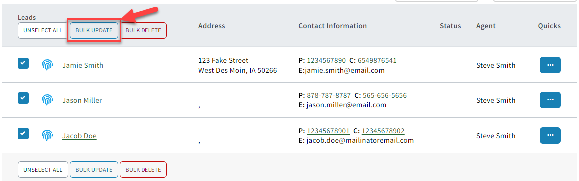 Screenshot highlighting the Bulk Update button in the Leads List
