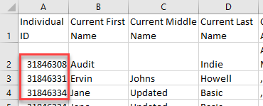 Screenshot highlighting Individual IDs in the Audit Report