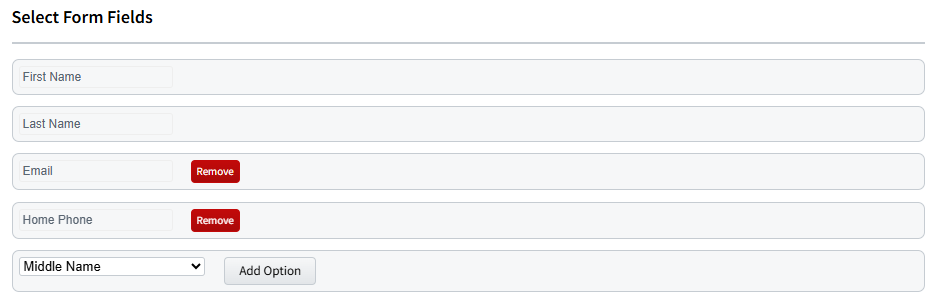 Screenshot showing the Form Fields section during Lead Form setup
