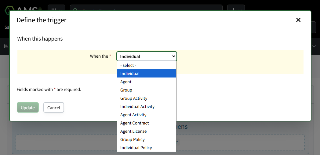 Screenshot showing the workflow trigger's record type