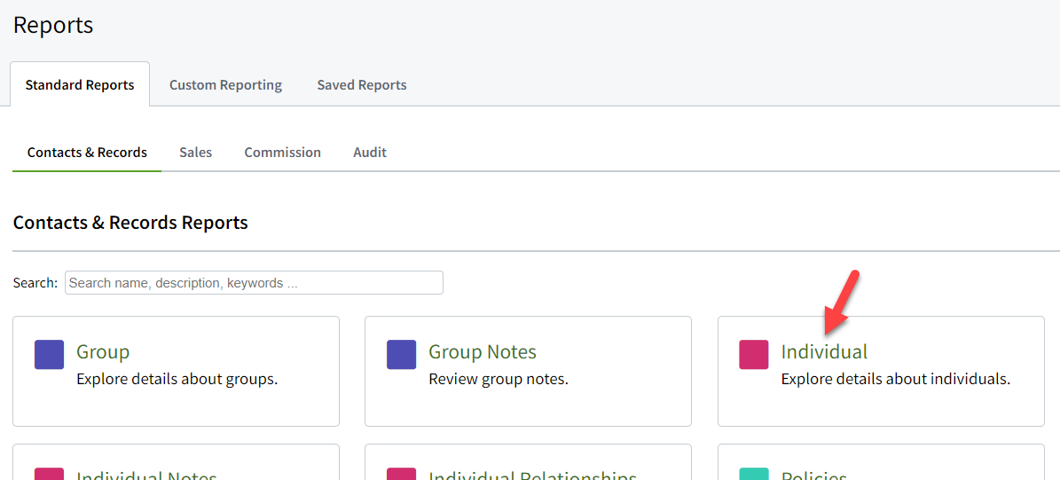Screenshot showing the Individual standard report