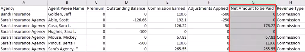 Screenshot highlighting the Net Amount to be Paid column